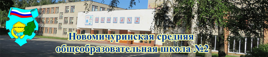 Новомичуринская Школа №2